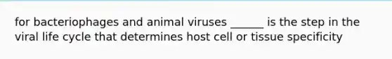 for bacteriophages and animal viruses ______ is the step in the viral life cycle that determines host cell or tissue specificity