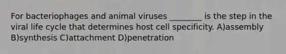 For bacteriophages and animal viruses ________ is the step in the viral life cycle that determines host cell specificity. A)assembly B)synthesis C)attachment D)penetration