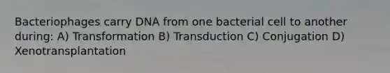 Bacteriophages carry DNA from one bacterial cell to another during: A) Transformation B) Transduction C) Conjugation D) Xenotransplantation