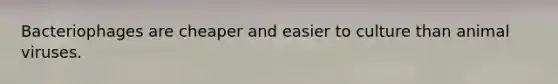 Bacteriophages are cheaper and easier to culture than animal viruses.
