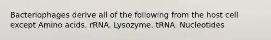 Bacteriophages derive all of the following from the host cell except <a href='https://www.questionai.com/knowledge/k9gb720LCl-amino-acids' class='anchor-knowledge'>amino acids</a>. rRNA. Lysozyme. tRNA. Nucleotides