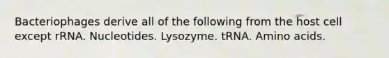 Bacteriophages derive all of the following from the host cell except rRNA. Nucleotides. Lysozyme. tRNA. <a href='https://www.questionai.com/knowledge/k9gb720LCl-amino-acids' class='anchor-knowledge'>amino acids</a>.