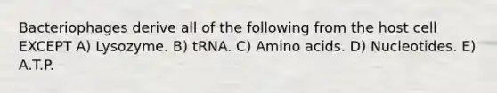 Bacteriophages derive all of the following from the host cell EXCEPT A) Lysozyme. B) tRNA. C) <a href='https://www.questionai.com/knowledge/k9gb720LCl-amino-acids' class='anchor-knowledge'>amino acids</a>. D) Nucleotides. E) A.T.P.