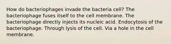 How do bacteriophages invade the bacteria cell? The bacteriophage fuses itself to the cell membrane. The bacteriophage directly injects its nucleic acid. Endocytosis of the bacteriophage. Through lysis of the cell. Via a hole in the cell membrane.