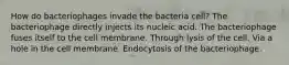 How do bacteriophages invade the bacteria cell? The bacteriophage directly injects its nucleic acid. The bacteriophage fuses itself to the cell membrane. Through lysis of the cell. Via a hole in the cell membrane. Endocytosis of the bacteriophage.