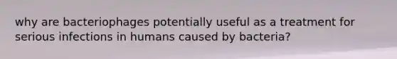 why are bacteriophages potentially useful as a treatment for serious infections in humans caused by bacteria?