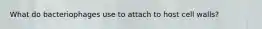 What do bacteriophages use to attach to host cell walls?