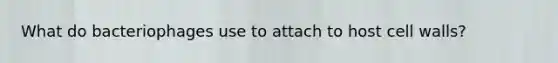 What do bacteriophages use to attach to host cell walls?