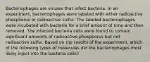 Bacteriophages are viruses that infect bacteria. In an experiment, bacteriophages were labeled with either radioactive phosphorus or radioactive sulfur. The labeled bacteriophages were incubated with bacteria for a brief amount of time and then removed. The infected bacteria cells were found to contain significant amounts of radioactive phosphorus but not radioactive sulfur. Based on the results of the experiment, which of the following types of molecules did the bacteriophages most likely inject into the bacteria cells?