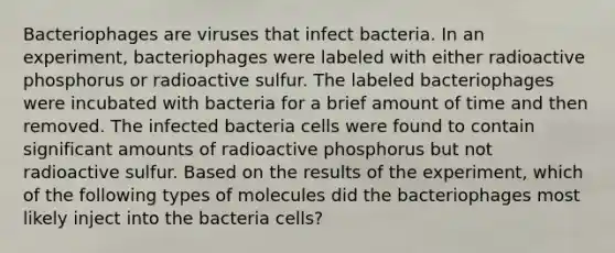 Bacteriophages are viruses that infect bacteria. In an experiment, bacteriophages were labeled with either radioactive phosphorus or radioactive sulfur. The labeled bacteriophages were incubated with bacteria for a brief amount of time and then removed. The infected bacteria cells were found to contain significant amounts of radioactive phosphorus but not radioactive sulfur. Based on the results of the experiment, which of the following types of molecules did the bacteriophages most likely inject into the bacteria cells?