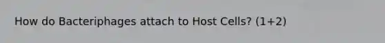How do Bacteriphages attach to Host Cells? (1+2)