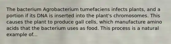 The bacterium Agrobacterium tumefaciens infects plants, and a portion if its DNA is inserted into the plant's chromosomes. This causes the plant to produce gall cells, which manufacture amino acids that the bacterium uses as food. This process is a natural example of...