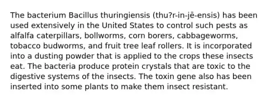 The bacterium Bacillus thuringiensis (thu?r-in-jē-ensis) has been used extensively in the United States to control such pests as alfalfa caterpillars, bollworms, corn borers, cabbageworms, tobacco budworms, and fruit tree leaf rollers. It is incorporated into a dusting powder that is applied to the crops these insects eat. The bacteria produce protein crystals that are toxic to the digestive systems of the insects. The toxin gene also has been inserted into some plants to make them insect resistant.