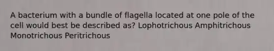 A bacterium with a bundle of flagella located at one pole of the cell would best be described as? Lophotrichous Amphitrichous Monotrichous Peritrichous