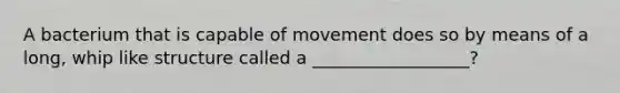 A bacterium that is capable of movement does so by means of a long, whip like structure called a __________________?