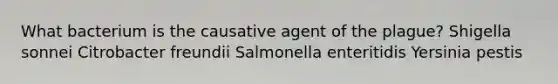 What bacterium is the causative agent of the plague? Shigella sonnei Citrobacter freundii Salmonella enteritidis Yersinia pestis