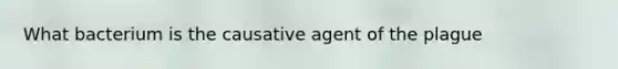 What bacterium is the causative agent of the plague