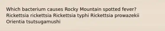 Which bacterium causes Rocky Mountain spotted fever? Rickettsia rickettsia Rickettsia typhi Rickettsia prowazekii Orientia tsutsugamushi