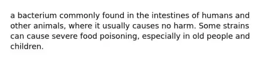 a bacterium commonly found in the intestines of humans and other animals, where it usually causes no harm. Some strains can cause severe food poisoning, especially in old people and children.