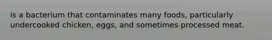 is a bacterium that contaminates many foods, particularly undercooked chicken, eggs, and sometimes processed meat.