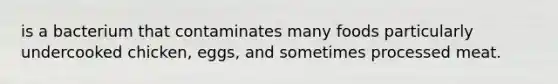 is a bacterium that contaminates many foods particularly undercooked chicken, eggs, and sometimes processed meat.
