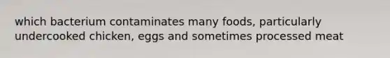 which bacterium contaminates many foods, particularly undercooked chicken, eggs and sometimes processed meat