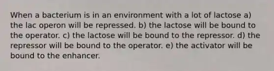 When a bacterium is in an environment with a lot of lactose a) the lac operon will be repressed. b) the lactose will be bound to the operator. c) the lactose will be bound to the repressor. d) the repressor will be bound to the operator. e) the activator will be bound to the enhancer.