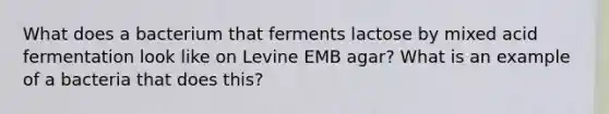 What does a bacterium that ferments lactose by mixed acid fermentation look like on Levine EMB agar? What is an example of a bacteria that does this?