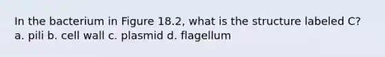 In the bacterium in Figure 18.2, what is the structure labeled C? a. pili b. <a href='https://www.questionai.com/knowledge/koIRusoDXG-cell-wall' class='anchor-knowledge'>cell wall</a> c. plasmid d. flagellum