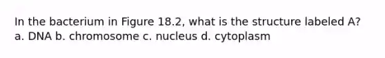 In the bacterium in Figure 18.2, what is the structure labeled A? a. DNA b. chromosome c. nucleus d. cytoplasm