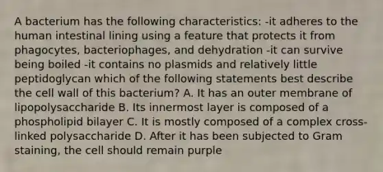 A bacterium has the following characteristics: -it adheres to the human intestinal lining using a feature that protects it from phagocytes, bacteriophages, and dehydration -it can survive being boiled -it contains no plasmids and relatively little peptidoglycan which of the following statements best describe the cell wall of this bacterium? A. It has an outer membrane of lipopolysaccharide B. Its innermost layer is composed of a phospholipid bilayer C. It is mostly composed of a complex cross-linked polysaccharide D. After it has been subjected to Gram staining, the cell should remain purple