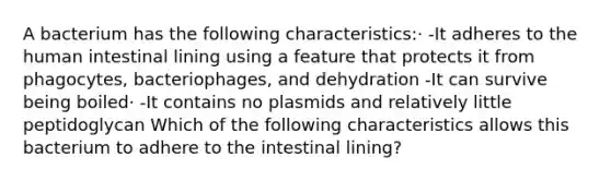 A bacterium has the following characteristics:· -It adheres to the human intestinal lining using a feature that protects it from phagocytes, bacteriophages, and dehydration -It can survive being boiled· -It contains no plasmids and relatively little peptidoglycan Which of the following characteristics allows this bacterium to adhere to the intestinal lining?