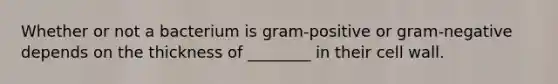 Whether or not a bacterium is gram-positive or gram-negative depends on the thickness of ________ in their cell wall.