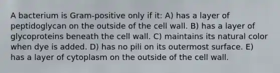 A bacterium is Gram-positive only if it: A) has a layer of peptidoglycan on the outside of the cell wall. B) has a layer of glycoproteins beneath the cell wall. C) maintains its natural color when dye is added. D) has no pili on its outermost surface. E) has a layer of cytoplasm on the outside of the cell wall.