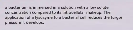 a bacterium is immersed in a solution with a low solute concentration compared to its intracellular makeup. The application of a lysozyme to a bacterial cell reduces the turgor pressure it develops.