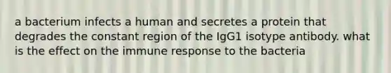 a bacterium infects a human and secretes a protein that degrades the constant region of the IgG1 isotype antibody. what is the effect on the immune response to the bacteria