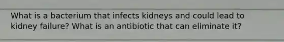 What is a bacterium that infects kidneys and could lead to kidney failure? What is an antibiotic that can eliminate it?