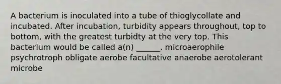 A bacterium is inoculated into a tube of thioglycollate and incubated. After incubation, turbidity appears throughout, top to bottom, with the greatest turbidty at the very top. This bacterium would be called a(n) ______. microaerophile psychrotroph obligate aerobe facultative anaerobe aerotolerant microbe