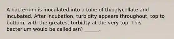 A bacterium is inoculated into a tube of thioglycollate and incubated. After incubation, turbidity appears throughout, top to bottom, with the greatest turbidty at the very top. This bacterium would be called a(n) ______.