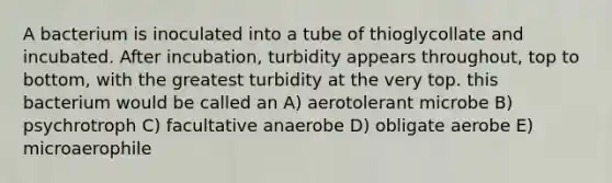 A bacterium is inoculated into a tube of thioglycollate and incubated. After incubation, turbidity appears throughout, top to bottom, with the greatest turbidity at the very top. this bacterium would be called an A) aerotolerant microbe B) psychrotroph C) facultative anaerobe D) obligate aerobe E) microaerophile