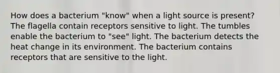 How does a bacterium "know" when a light source is present? The flagella contain receptors sensitive to light. The tumbles enable the bacterium to "see" light. The bacterium detects the heat change in its environment. The bacterium contains receptors that are sensitive to the light.