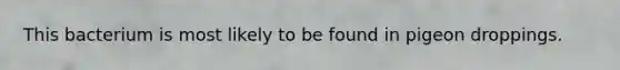 This bacterium is most likely to be found in pigeon droppings.