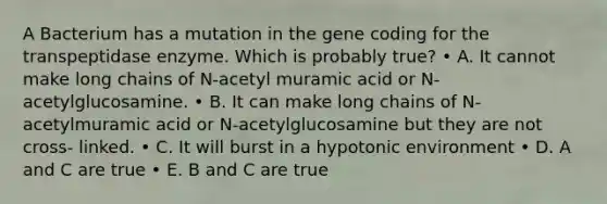 A Bacterium has a mutation in the gene coding for the transpeptidase enzyme. Which is probably true? • A. It cannot make long chains of N‐acetyl muramic acid or N‐acetylglucosamine. • B. It can make long chains of N‐acetylmuramic acid or N‐acetylglucosamine but they are not cross‐ linked. • C. It will burst in a hypotonic environment • D. A and C are true • E. B and C are true