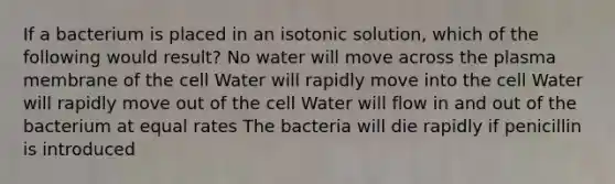 If a bacterium is placed in an isotonic solution, which of the following would result? No water will move across the plasma membrane of the cell Water will rapidly move into the cell Water will rapidly move out of the cell Water will flow in and out of the bacterium at equal rates The bacteria will die rapidly if penicillin is introduced