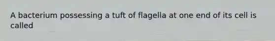 A bacterium possessing a tuft of flagella at one end of its cell is called