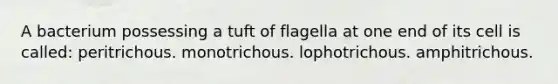 A bacterium possessing a tuft of flagella at one end of its cell is called: peritrichous. monotrichous. lophotrichous. amphitrichous.