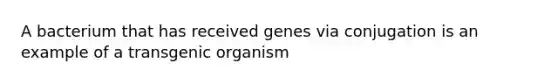 A bacterium that has received genes via conjugation is an example of a transgenic organism