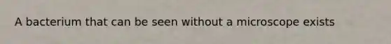 A bacterium that can be seen without a microscope exists