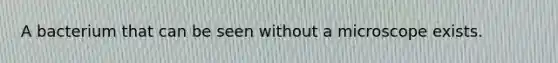A bacterium that can be seen without a microscope exists.
