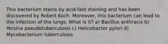 This bacterium stains by acid-fast staining and has been discovered by Robert Koch. Moreover, this bacterium can lead to the infection of the lungs. What is it? a) Bacillus anthracis b) Yersina pseudotuberculosis c) Helicobacter pylori d) Mycobacterium tuberculosis